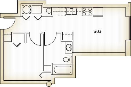 Spring Street Loft Apartments Room 303