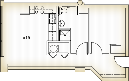 Spring Street Loft Apartments Room 215