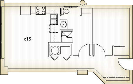 Spring Street Loft Apartments Room 315